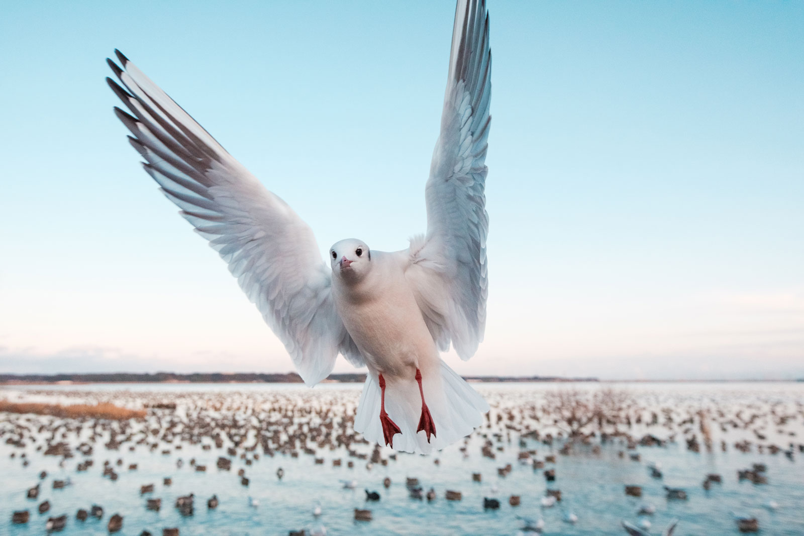 Photographer: Kazuya Seki