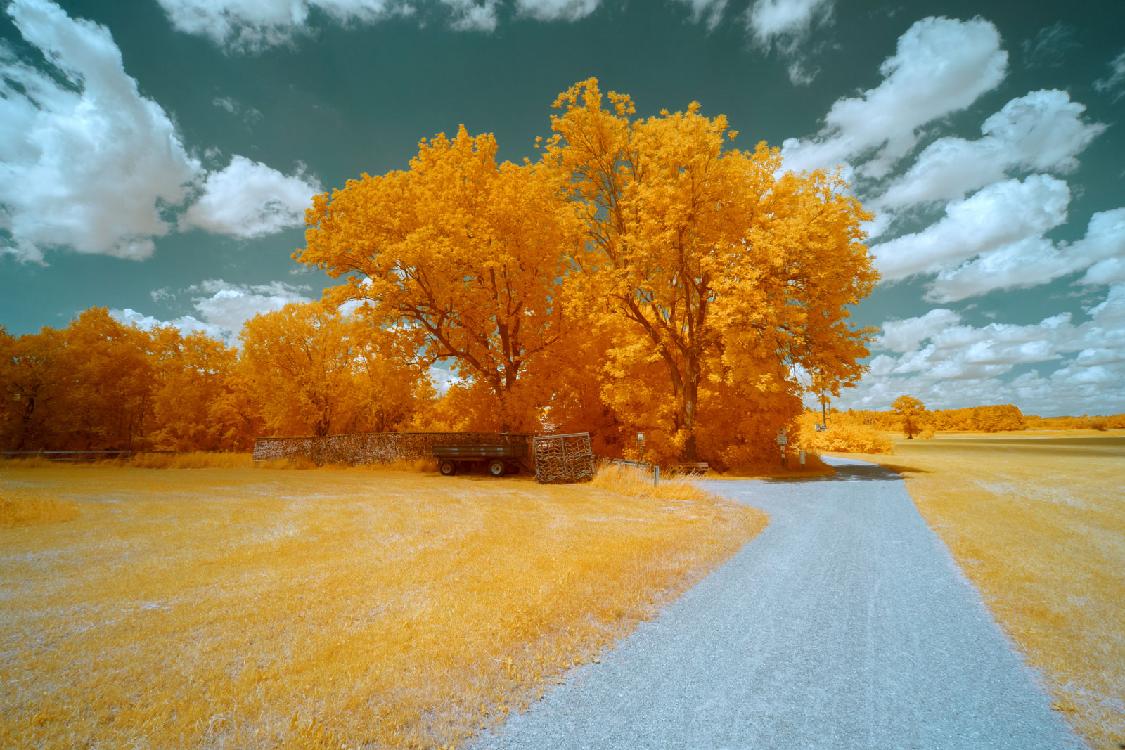 Shot with Tokina atx-m 11-18mm F2.8 E