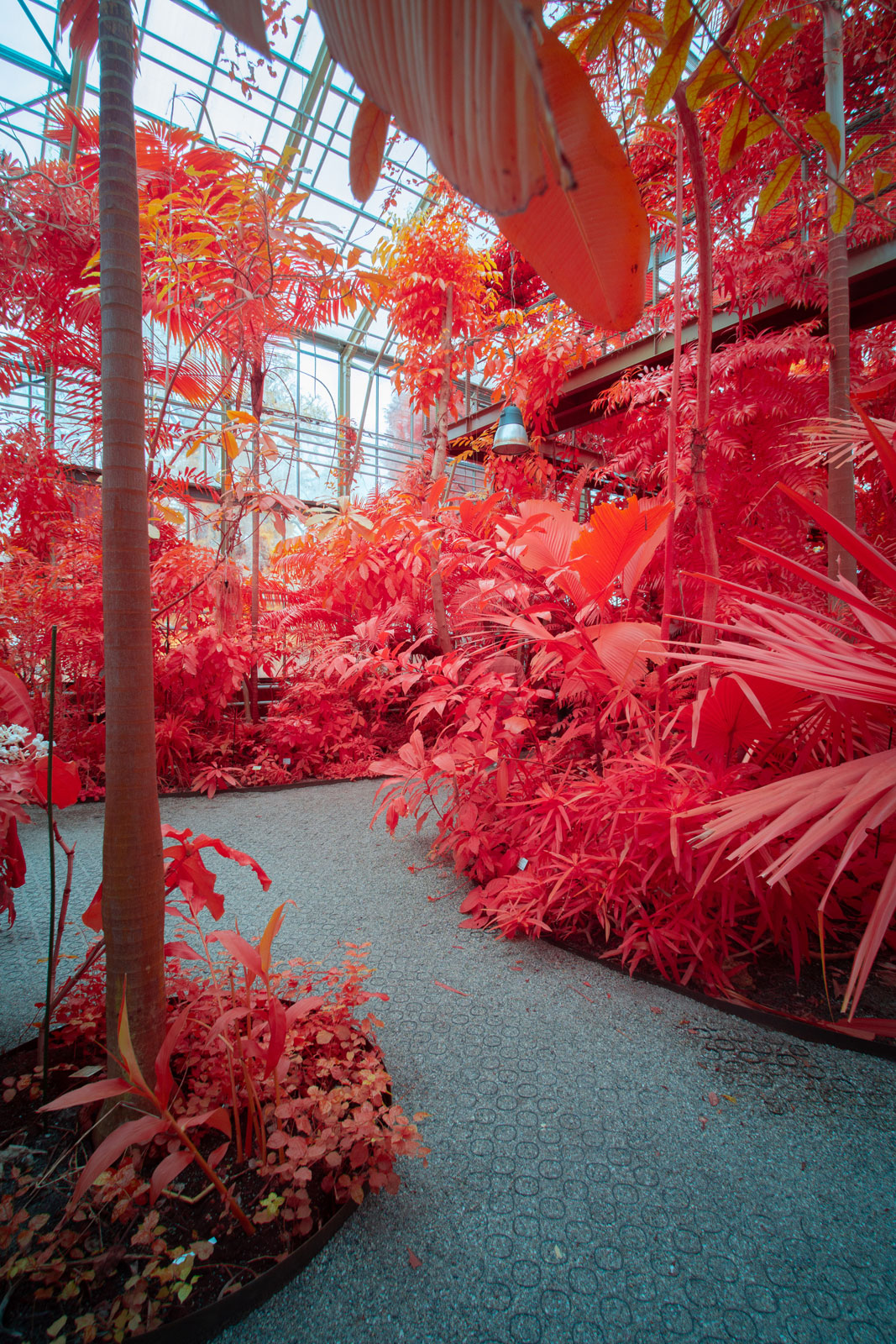 Shot with Tokina atx-m 11-18mm F2.8 E